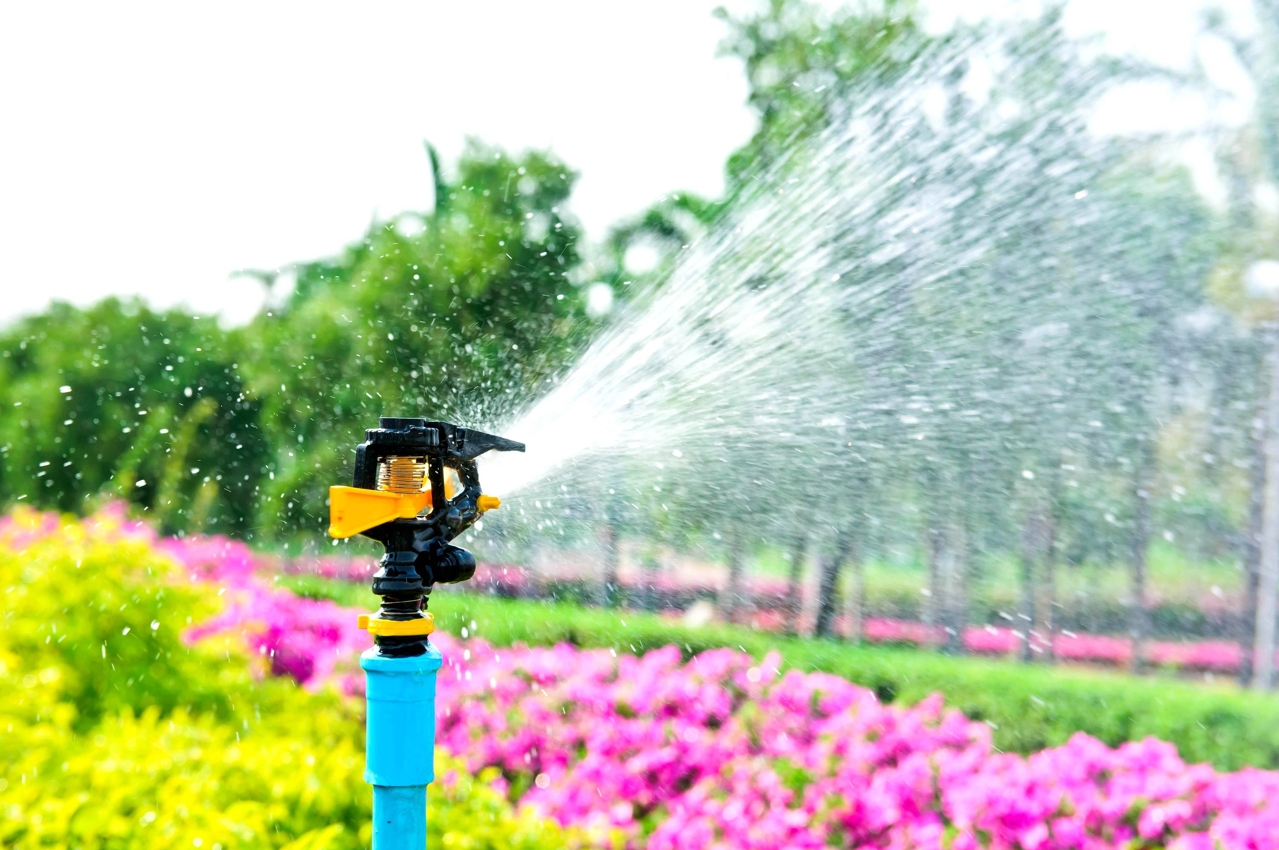 Watering system